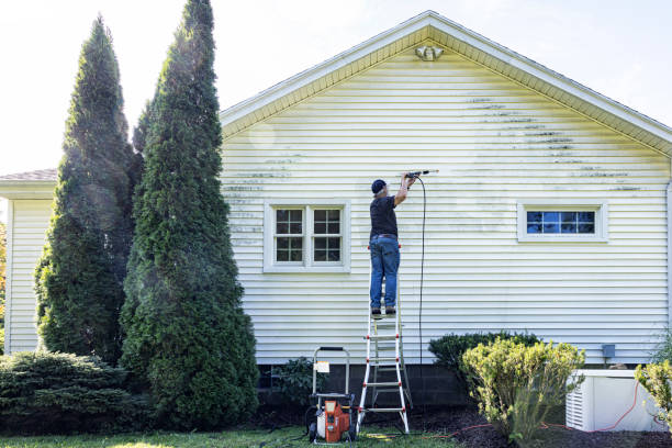 Best Graffiti Removal  in Monessen, PA